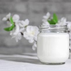 How do probiotics work and are they beneficial?