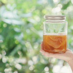 What are the benefits of kombucha?