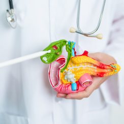 Understanding Digestive Enzymes: Functions and Types