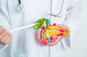 Understanding Digestive Enzymes: Functions and Types